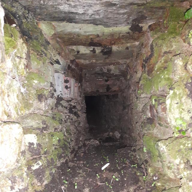 Hidden tunnel I've found whilst working at a 16/17th century house in angarrack....going to have to explore one day Hidden tunnel I've found whilst working at a 16/17th century house in angarrack....going to have to explore one day